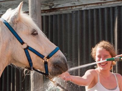 Keep Your Horses Hydrated and Their Waterer Clean