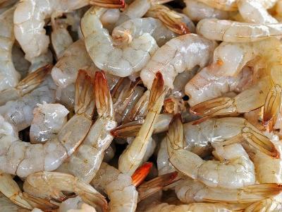 Beneficial Microbes for the Sustainable Management of Shrimp Aquaculture