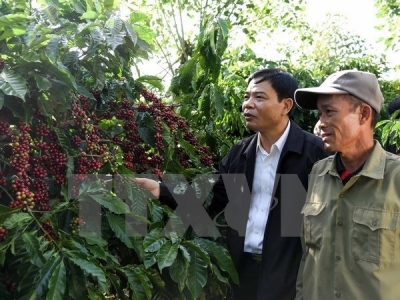 Measures sought to increase added value of coffee