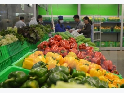 Fruit and vegetable exports hit 3.34 billion USD