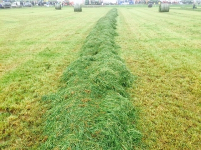 Cutting silage? Heres how to make the neighbours jealous with your quality silage