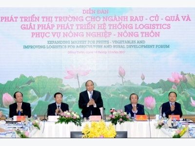 Foreign importers keen on Mekong Delta fruit & vegetables