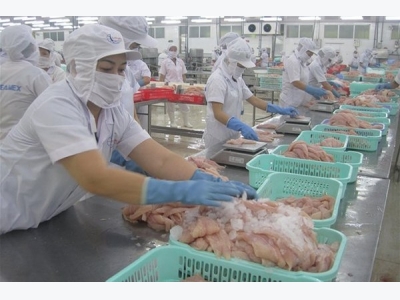 Seafood exports grow sharply