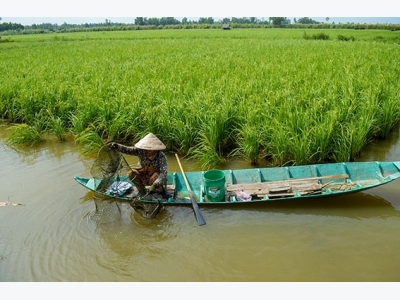 4 phương thức nuôi tôm điển hình mang lại hiệu quả cao