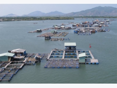 Ba Ria-Vung Tau develops fishery infrastructure