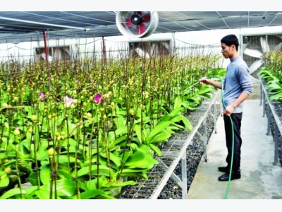 Hanoi seeks to capitalize on sci-tech for farming