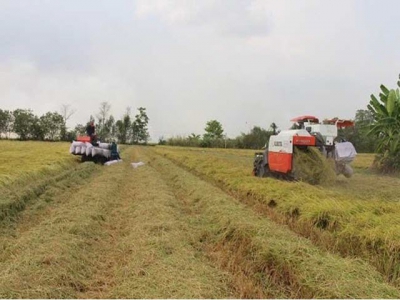 Vietnam wins tender to ship rice to Philippines