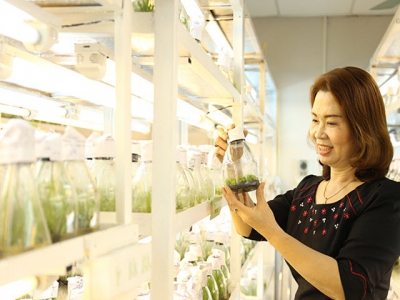 Influential Vietnamese scientist creates 52 varieties of fruit