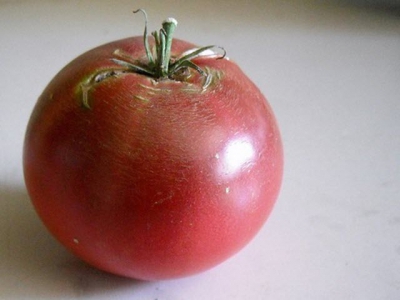 Guide to Growing Cherokee Purple Tomatoes