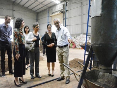 Pyrolysis technology improves coffee quality