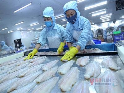 Vietnam to tighten the control of exceeding Chlorate level in pangasius