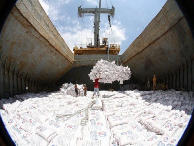 Philippines, Ivory Coast emerge as Vietnams largest rice export markets