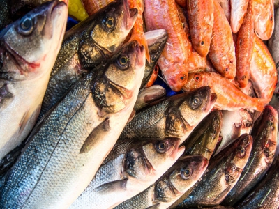 5 Approaches to Making Aquaculture Sustainable