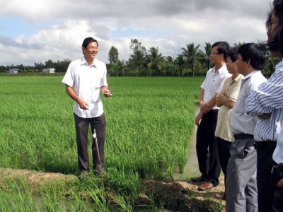 Việt Nams rice crowned the best at 2019 World Rice Conference