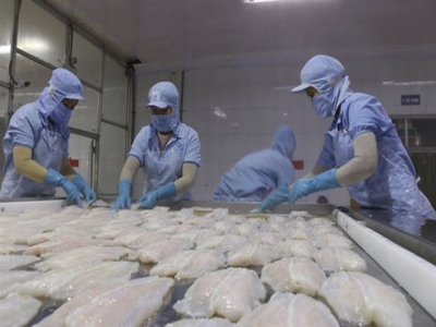 US recognises Vietnams pangasius quality control system