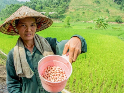 Vietnamese farmers: Opportunities and challenges in global integration