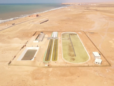The desert in bloom: pioneering algae production system poised for commercial take-off