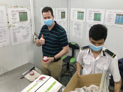 US to greenlight export of pomelos from Vietnam