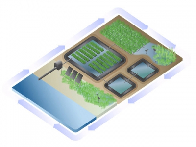 A saline solution for aquaculture and agriculture