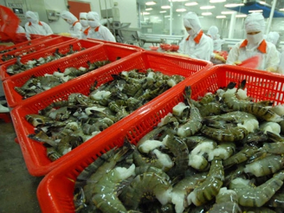 Seafood exports to India increase by nearly 180%