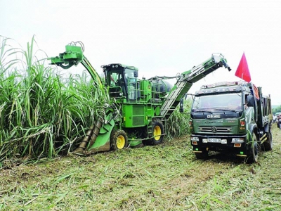 Struggling with ATIGA, sugar industry ready for petition