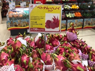 Japan market share of dragon fruit needs to be maintained