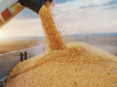 Over US$ 2 billion of corn imports in 9 months