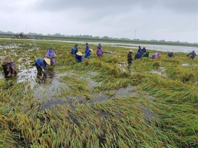 Boosting coverage of agricultural insurance