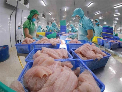Fisheries sector sees recovery signs in October