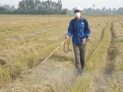 Tiềm năng ứng dụng chế phẩm sinh học trong sản xuất an toàn ở ĐBSCL