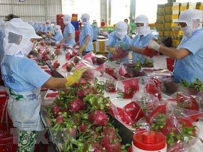 Ambassadors, businesses advise on export of vegetables and fruits to the EU