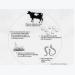 Diseases of Cattle: Internal parasites