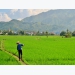 Vietnam Farmers’ Union helps boost agricultural production