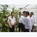 Farmers in Binh Duong are good in production and business