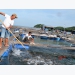 Kiên Giang’s marine aquaculture aims to reach one billion USD