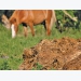 The need for manure to be broken down