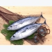 Giá cá ngừ, giá tôm hùm tại Phú Yên 07-01-2021