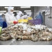 Minh Phú opposes US anti-dumping duty on frozen shrimp