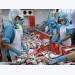 Saudi Arabia allows resumption of Vietnamese seafood imports