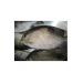 Cá dìa bông ở Tuy An (Phú Yên) xuất hiện mật độ dày trên đầm Ô Loan