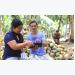 Nông dân Philippines trồng dừa qua thiết bị di động