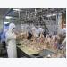 Vietnamese chicken breast to be exported to Japan