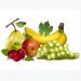 Giá trái cây tại Sóc Trăng 20-02-2017