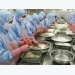 Vietnam shrimp exports to touch USD 3.8 billion