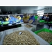 Việt Nam strives for $4 billion in cashew exports next year
