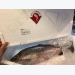 Shinshu Salmon - top thương hiệu cá hồi tại Nhật Bản