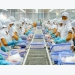Vietnamese seafood imports to Russia spike