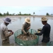 Shrimp sector eyes the export target of US$ 4 billion in 2022