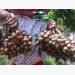 Australian officials optimist about Vietnamese longan imports from 2019