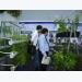 Ample opportunities in Vietnamese horticulture industry